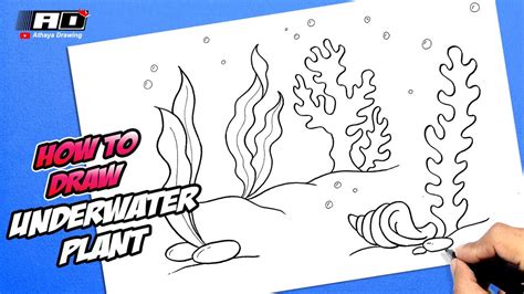 Captivating Aquatic Plants Drawing Ideas .